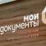 Заявление на выдачу древесины для собственных нужд теперь можно подать в МФЦ - Tulun.Irk.Today