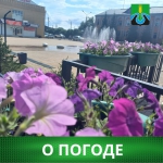 О погоде