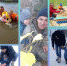 InCollage_20231012_121048140.jpg - Тулунский район