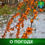 О погоде