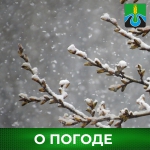 О погоде