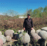 1000016007.jpg - Тулунский район