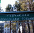 . - Тулунская городская больница