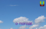 О погоде