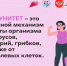 . - Тулунская городская больница